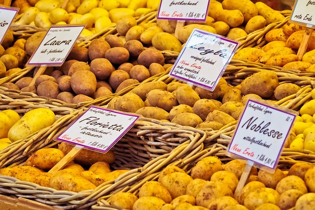 Bulk Shopping Made Easy: Why Hulken Is the Ultimate Costco & Walmart Companion