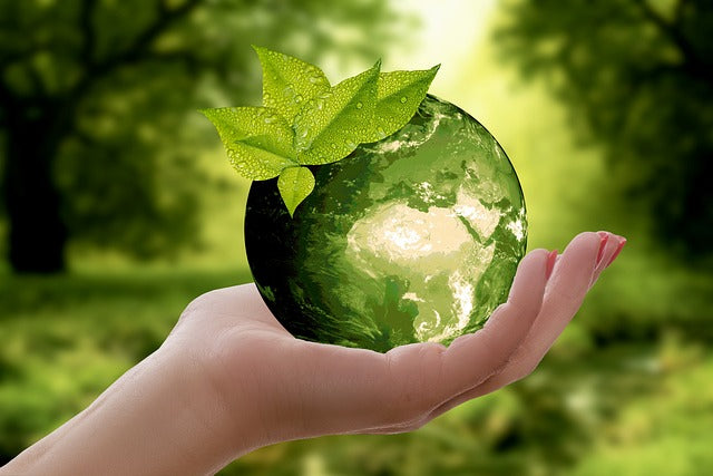 Why Schlepping Sustainably Matters (and How Hulken Makes It Easy)